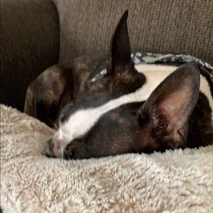 Meet your Posher, Rhonda